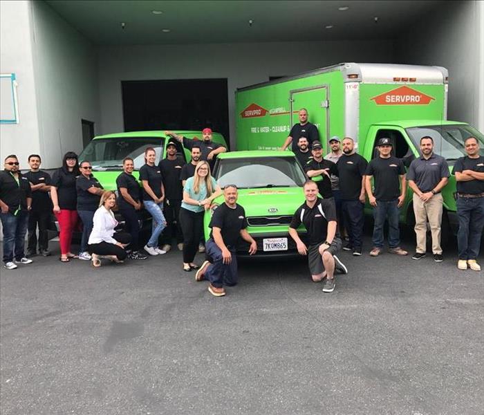 Employees standing around 3 green SERVPRO vehicles